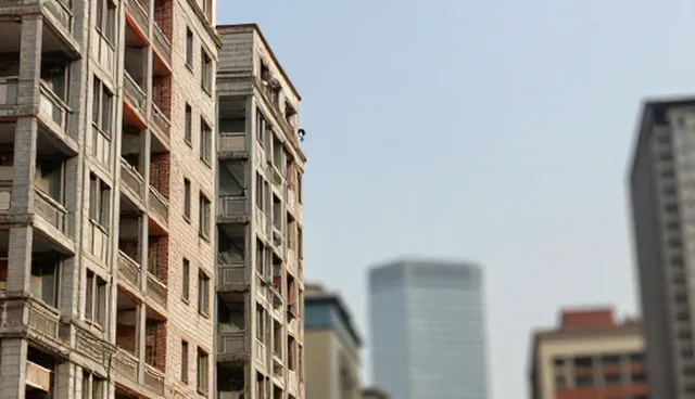 理解偏差：项目对接服务中的性能与适用条件分析